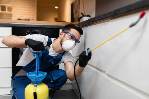 Best Rat Extermination Near Me  in Star Valley Ranch, WY