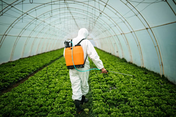 Best Emergency Pest Control  in Star Valley Ranch, WY