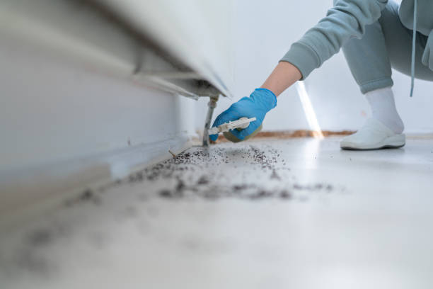 Best Exterminator Services  in Star Valley Ranch, WY
